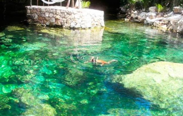 Snorkel en cenote abierto